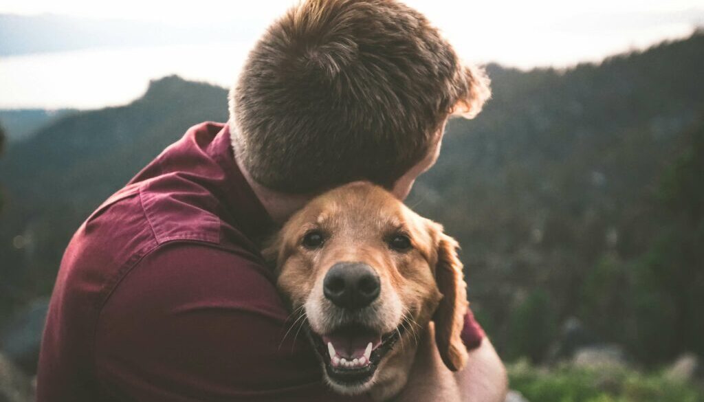eric-ward-ISg37AI2A-s-unsplash (1)