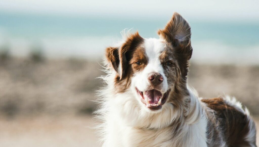 pauline-loroy-U3aF7hgUSrk-unsplash (1)